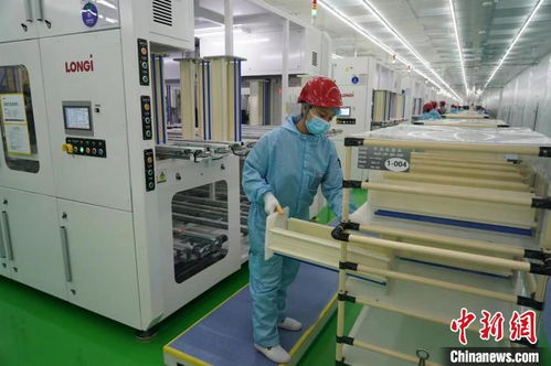 中国民企的绿色“碳”索 清洁能源点亮乡村振兴之路